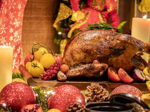 الديك الرومي