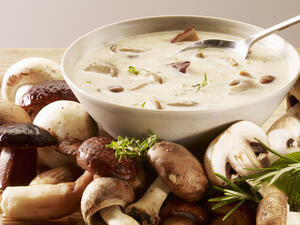 شوربة الفطر بالكريمة