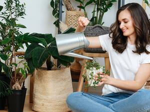 يُعتبر التسميد مرة واحدة في الشهر أمر مناسب لمُعظم النباتات يُعتبر التسميد مرة واحدة في الشهر أمر مناسب لمُعظم النباتات