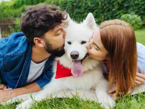 تفضل 50 % من مالكات الكلاب الأليفة قضاء الوقت مع الكلب أكثر من شركائهن