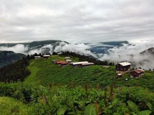 حيدر نبي طرابزون