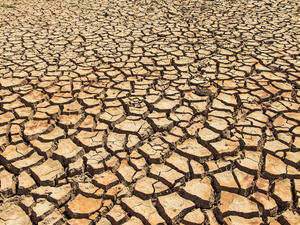 Eastern Africa Facing One of Its Worst Droughts in 40 Years