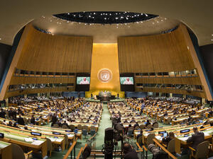 UN Sets up Racial Discrimination Commission for Israel, Palestine