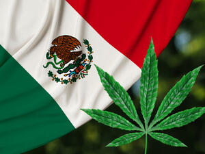 Mexico Legalizes Recreational Use of Marijuana