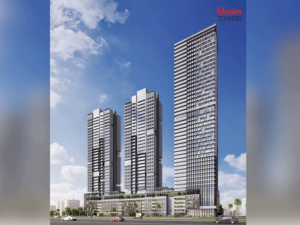 Bloom Properties