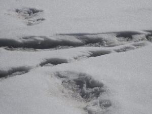 The Indian Army's mountain expedition team tweeted photos of what it called "mysterious footprints." (Photo courtesy the Indian Army/Twitter)