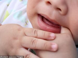 (Shutterstock/ File Photo)