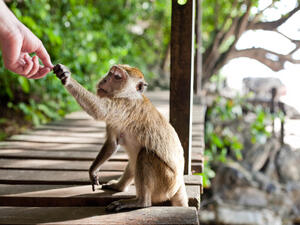 (Shutterstock/ File Photo)