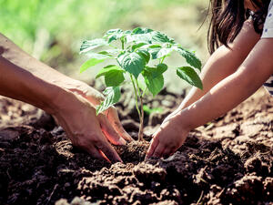 (Shutterstock/ File Photo)