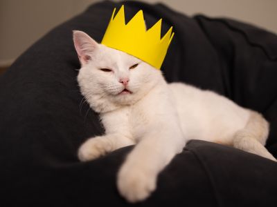 لويس فويتون