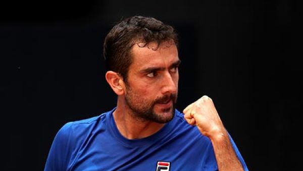 مارين شيليتش