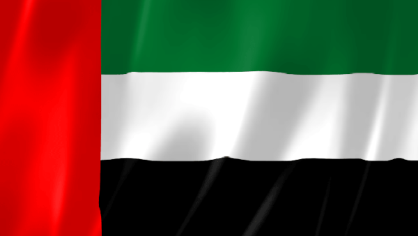 The two-day UAE Jiu-Jitsu Tournament is part of Abu Dhabi Showdown Week