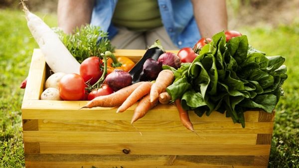 معرض الشرق الأوسط للمنتجات العضوية والطبيعية