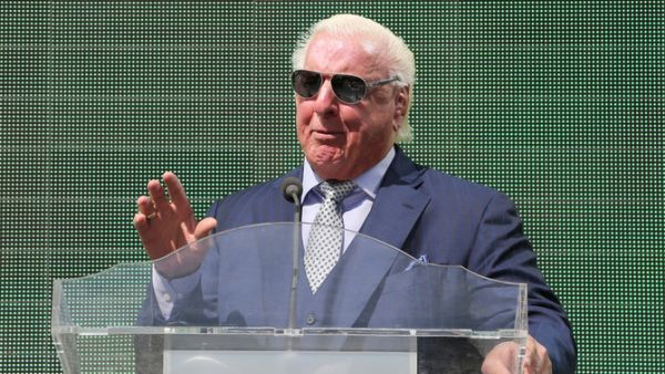 The 70-year-old WWE hall of famer Ric Flair.