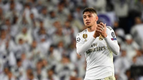 فيدي فالفيردي