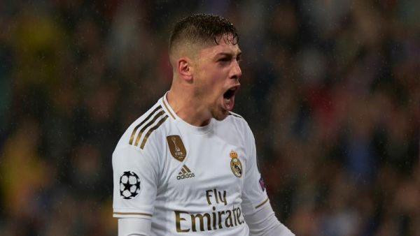 فيدي فالفيردي