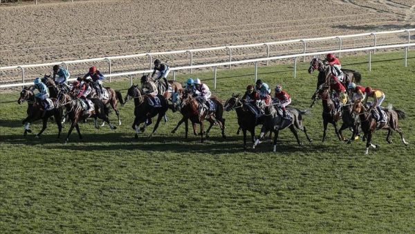 Dubai World Cup is world's richest purse horse racing event with $12 million (Photo: AA)
