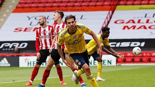 داني سيبايوس