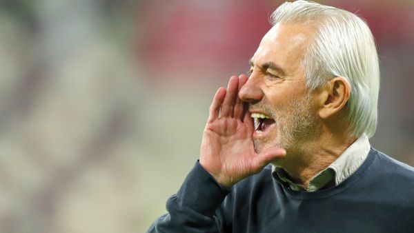 بيرت فان مارفيك