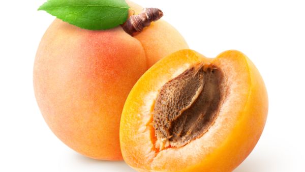 المشمش غني بالزيوت العطرية التي تُحسّن صحة جلد لطفل الحساس
