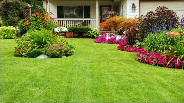 إذا توافرت مساحة كافية، يمكن الاستعانة بالأوعية الضخمة التي تحضن الشتول والزهرات  إذا توافرت مساحة كافية، يمكن الاستعانة بالأوعية الضخمة التي تحضن الشتول والزهرات