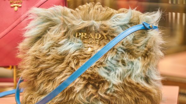 (Shutterstock/ File Photo)