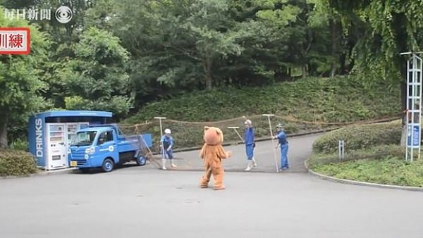 Hilarious footage shows Japanese zookeepers preparing for a lion escape - by chasing a man in a lion costume. (Daily Mail)