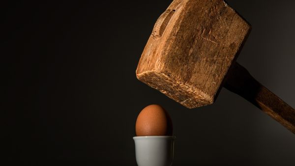 طبيب البوابة: هل يجب أن تأكل البيض في الصيف؟ 