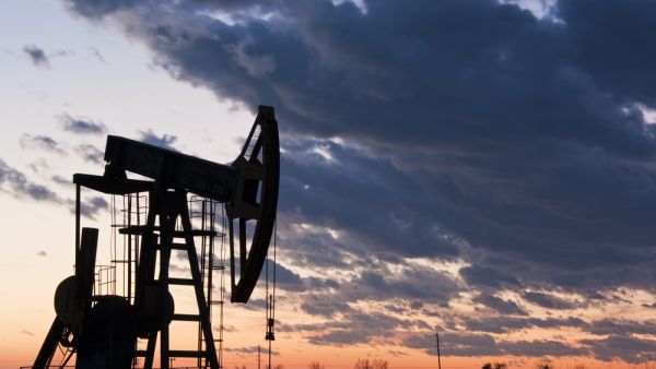 (Shutterstock/ File Photo)