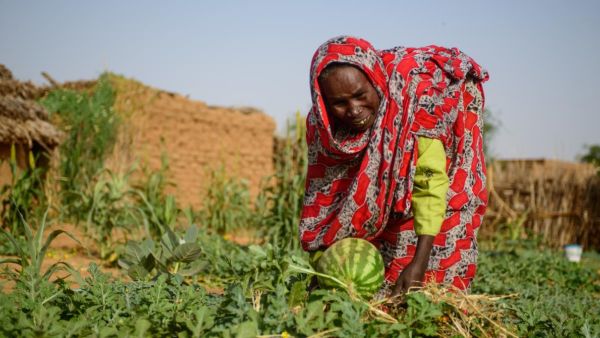 تأكيد "قوى الحرية والتغيير" على إجراء مفاوضات مباشرة مع المجلس العسكري الانتقالي