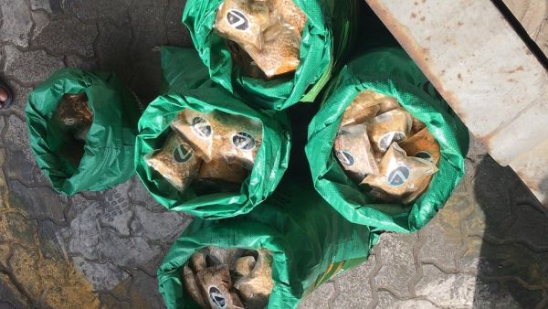 جمارك دبي عيون ساهرة على حماية الحدود جمارك دبي عيون ساهرة على حماية الحدود