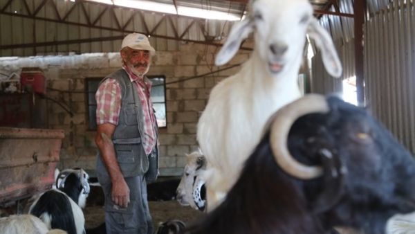 (The Daily Star/Hasan Shaaban)