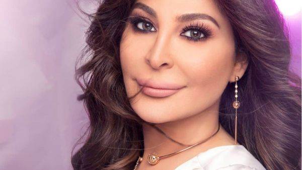 Elissa's tweet received a positive reaction from her followers Source elissazkh Instagram