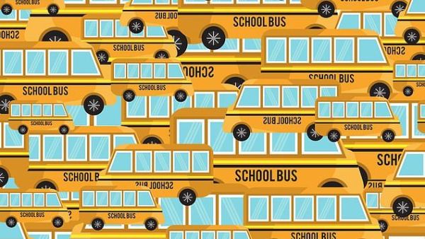 The latest brainteaser, created by GoSimpleTax, challenges puzzlers to find the pencil case staple among the school buses (dailymail.co.uk)