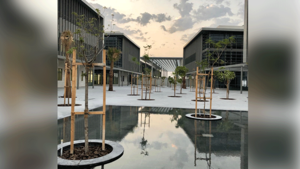 American University of Bahrain 