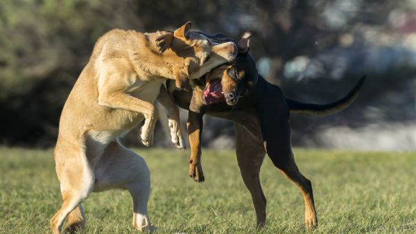 (Shutterstock/ File Photo) (Shutterstock/ File Photo)