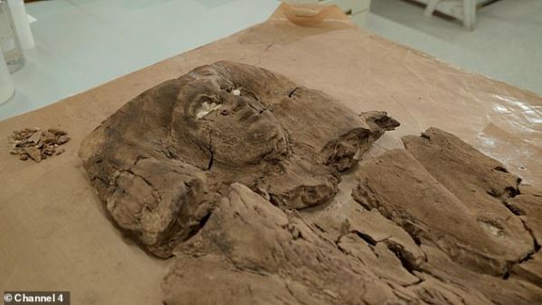 Archaeologists have revealed the face of an Egyptian princess that lived almost 4,000 years ago by painstakingly piecing together the wooden shards of her sarcophagus. (Channel4/ Daily Mail)