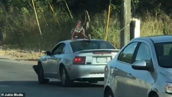 Myscellent Shelton-Cox, 23, was arrested and charged with disorderly conduct early Friday morning for dancing on the roof of a Mustang during slow-moving traffic. (Video Screenshot)