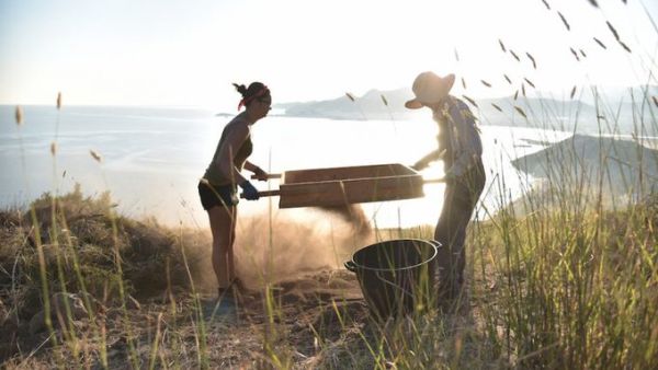 Greek island of Naxos (Twitter)
