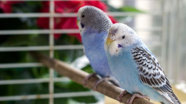 (Shutterstock/ File Photo)