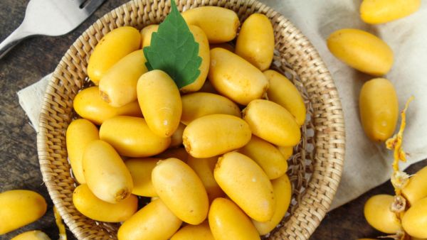 يحتوي البلح على الكالسيوم وهو المعدن الأهم للعظام حيث يقي من هشاشة العظام يحتوي البلح على الكالسيوم وهو المعدن الأهم للعظام حيث يقي من هشاشة العظام