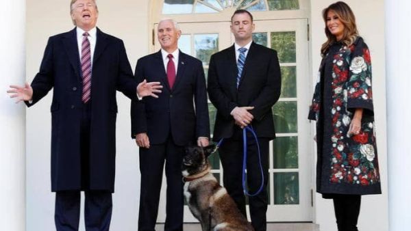  الكلب كونان مع ترامب