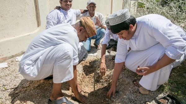جمعية البيئة العُمانية تتعاون مع شركة نيلز يارد ريميديز للحفاظ على أشجار اللبان العُمانية 