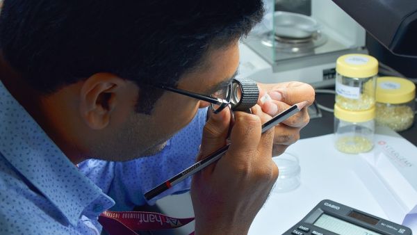 DDE hosts one of the largest ever rough diamond tenders in the UAE