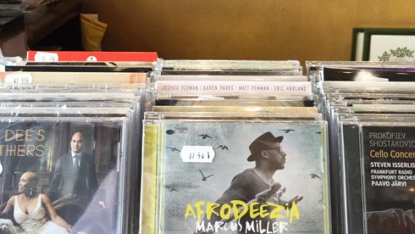 Lale Plak in Istanbul (Twitter)