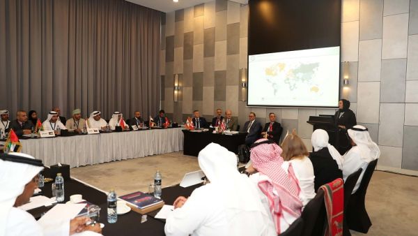 الهيئة الاتحادية للمواصلات البرية والبحرية تتعاون مع المنظمة البحرية الدولية بشأن الاتفاقيات البحرية للمسؤوليات المدنية والتعويضات