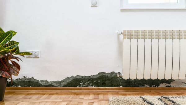 لاحظت أن رائحة الرطوبة لم تزل تماماً خلال أسبوعين فهذا يعني أن عليك تبديل كمية البيكربونات لاحظت أن رائحة الرطوبة لم تزل تماماً خلال أسبوعين فهذا يعني أن عليك تبديل كمية البيكربونات