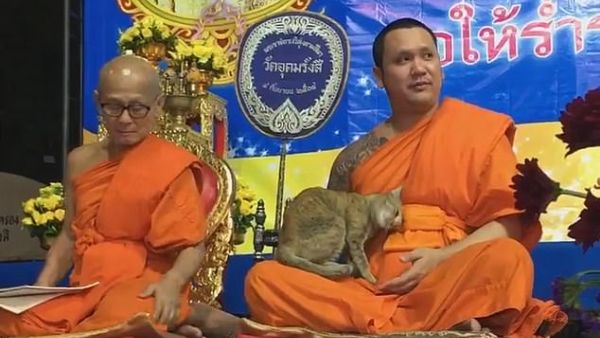 Nophayong Sookphan, who took video, said it jumped on monk at quarter to 12. (ViralPress)