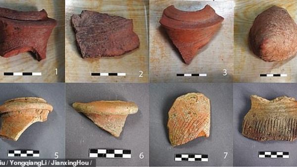 Nine Neolithic amphorae shards - used for transporting beer, wine and grain - were studied by researchers at Stanford University. (Liliu/ Daily mail)