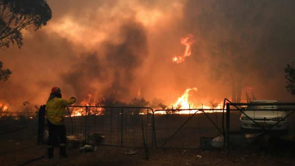 نيو ساوث ويلز من بين أكثر ولايات أستراليا تضررا بحرائق الغابات